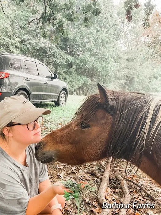 Barbour Farms Picture 9