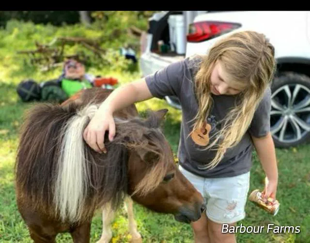 Barbour Farms Picture 7