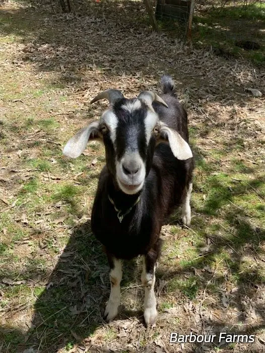 Barbour Farms Picture 6