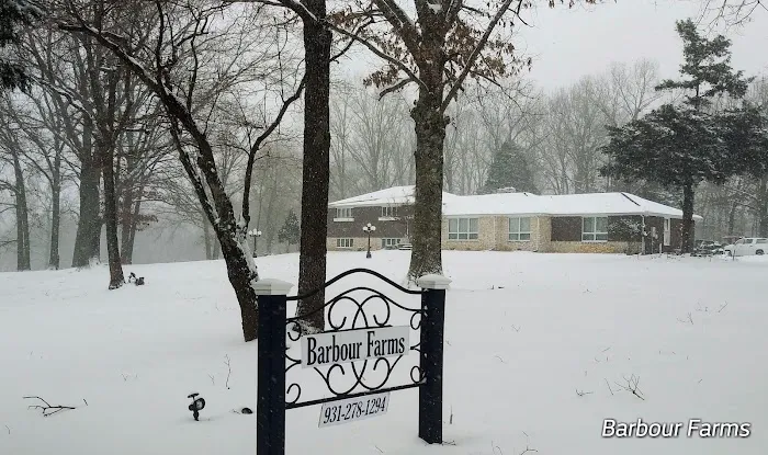 Barbour Farms Picture 3