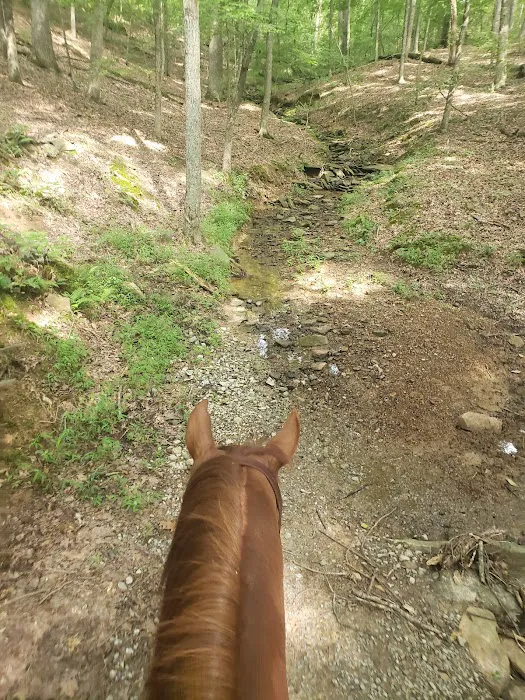 Trailhead Hideaway Campground Picture 1