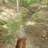 Trailhead Hideaway Campground ico