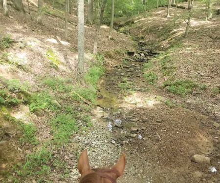 Trailhead Hideaway Campground