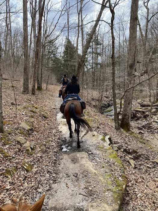 Bear Branch Campgrounds Picture 8