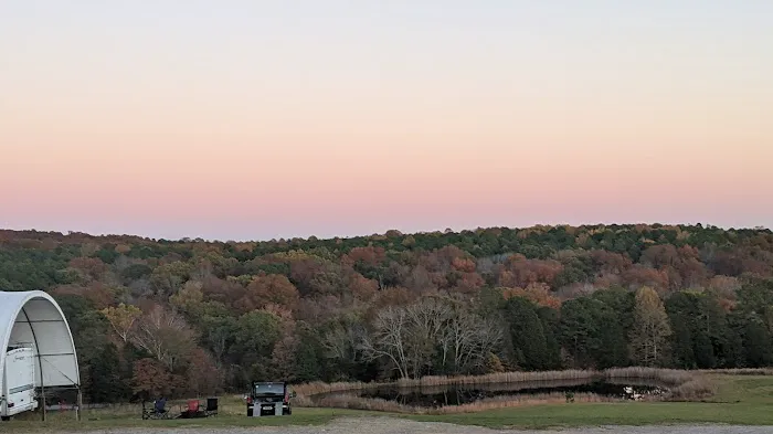 Bear Branch Campgrounds Picture 3