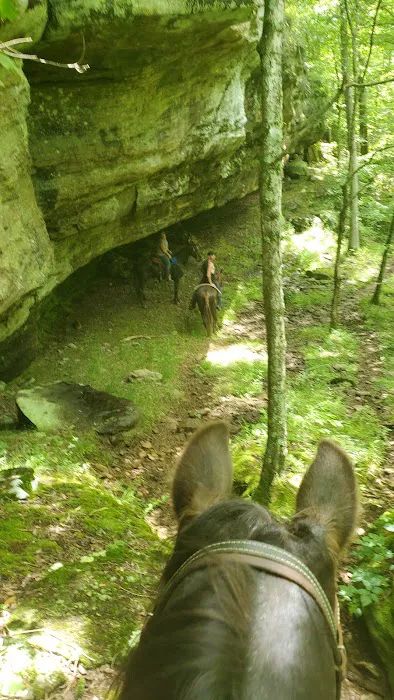 Bear Branch Campgrounds Picture 9