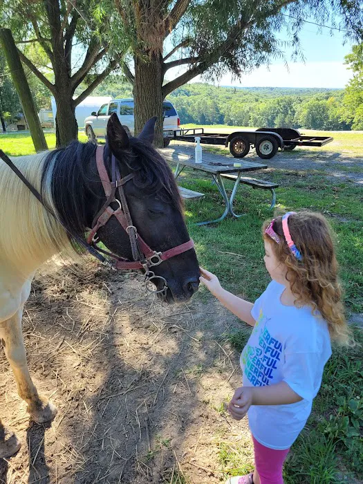 Bear Branch Campgrounds Picture 6