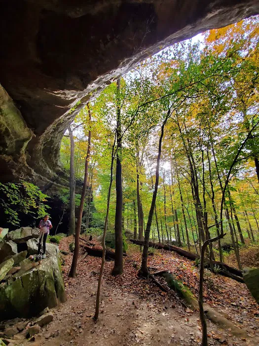 Bear Branch Campgrounds Picture 5