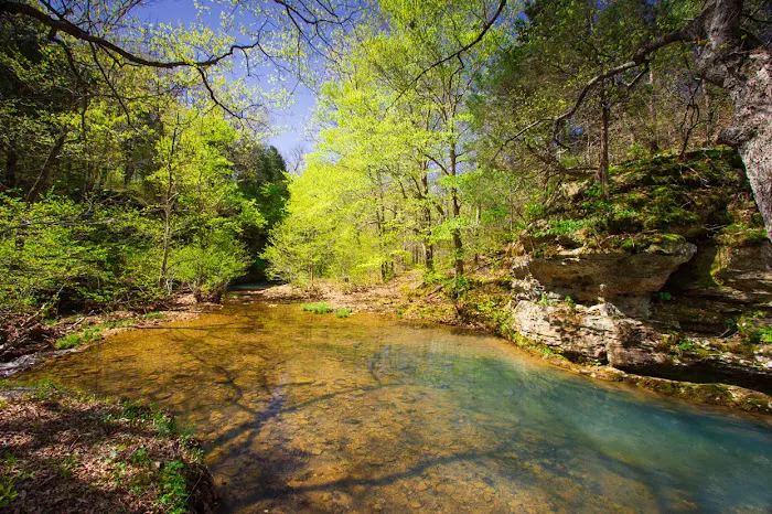 Redbud Campground Picture 6