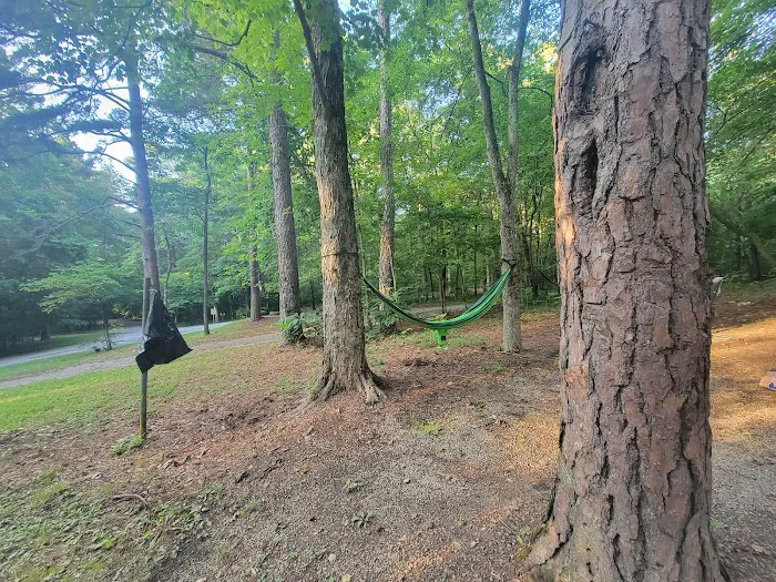 Redbud Campground Picture 5