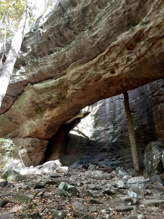 Redbud Campground Picture 1