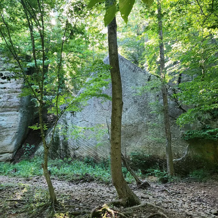 Redbud Campground Picture 8