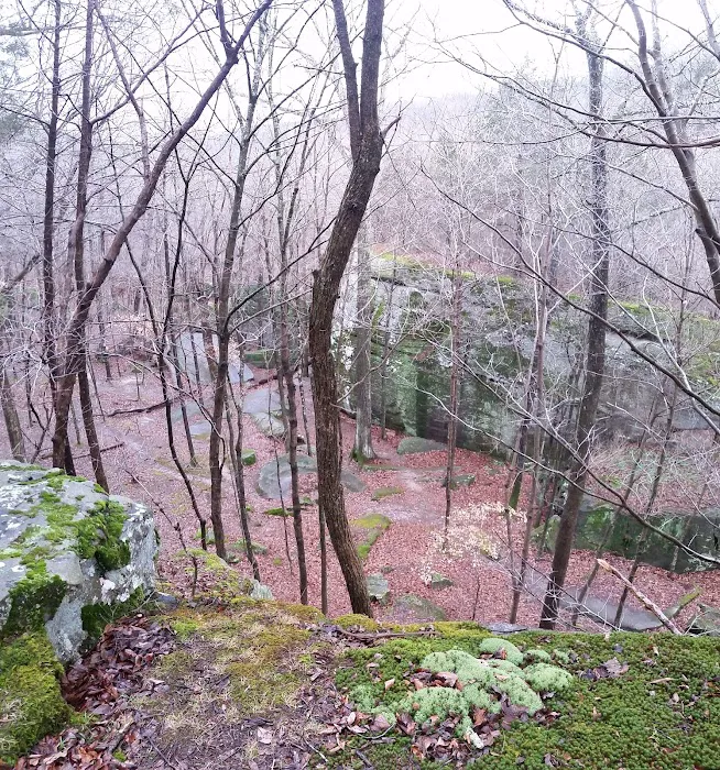 Jackson Falls Picture 6