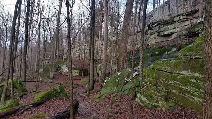 Jackson Falls Picture 4