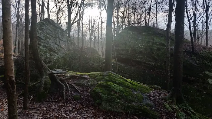 Jackson Falls Picture 2