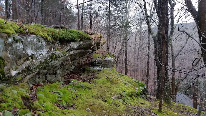 Jackson Falls Picture 3