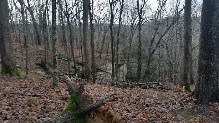 Jackson Falls Picture 1