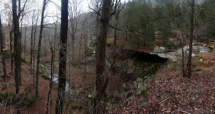 Jackson Falls Picture 7