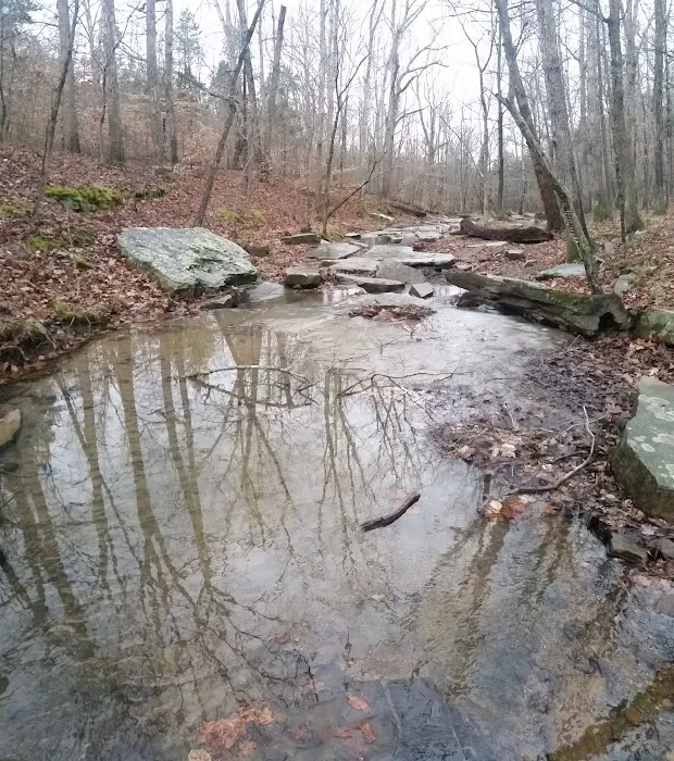 Jackson Falls Picture 10