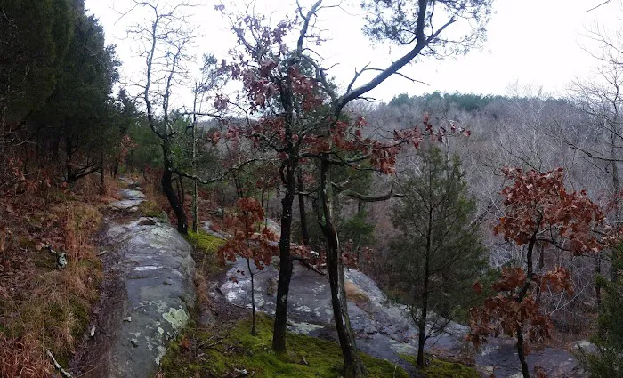 Jackson Falls Picture 8