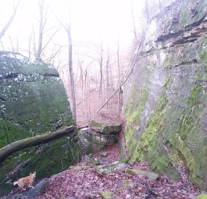 Jackson Falls Picture 9