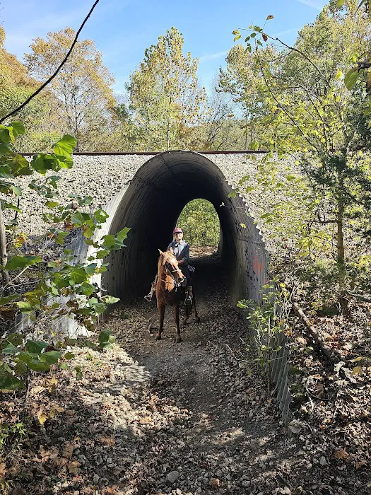 Bay Creek Ranch Inc. Picture 6