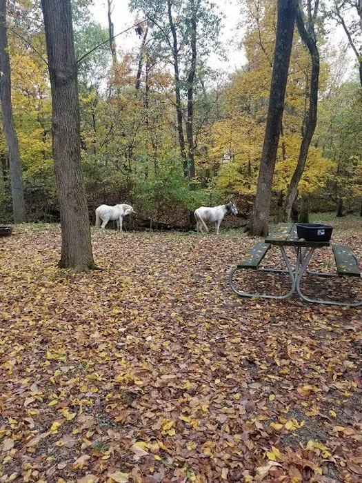 Bay Creek Ranch Inc. Picture 4