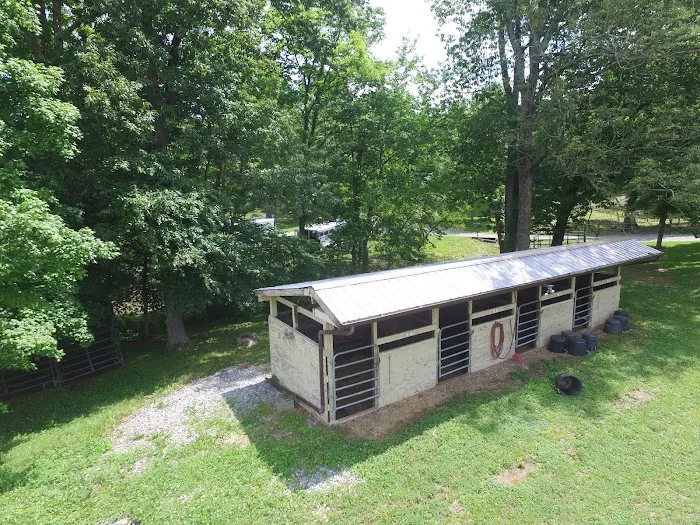 Bay Creek Ranch Inc. Picture 3