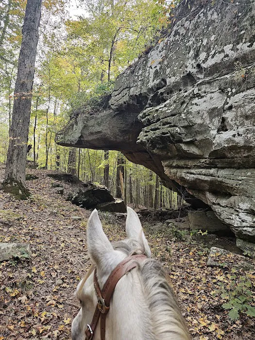 Bay Creek Ranch Inc. Picture 7