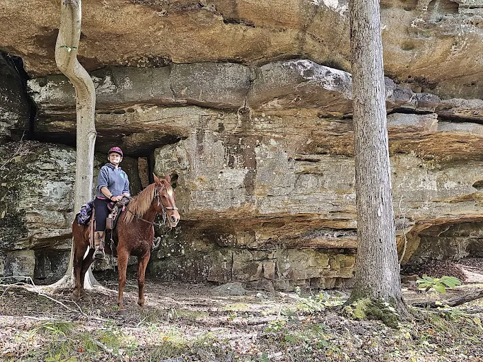 Bay Creek Ranch Inc. Picture 9