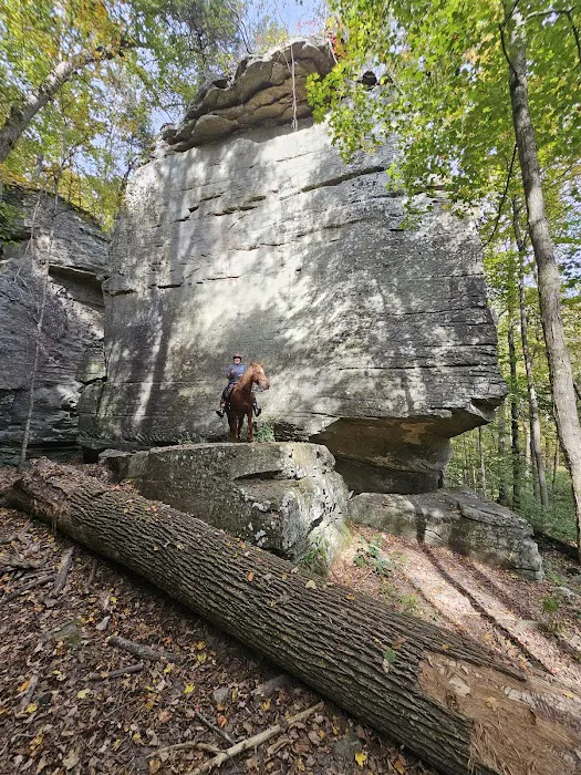 Bay Creek Ranch Inc. Picture 5
