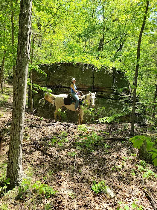 Bay Creek Ranch Inc. Picture 10