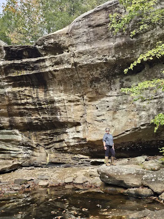 Bay Creek Ranch Inc. Picture 8