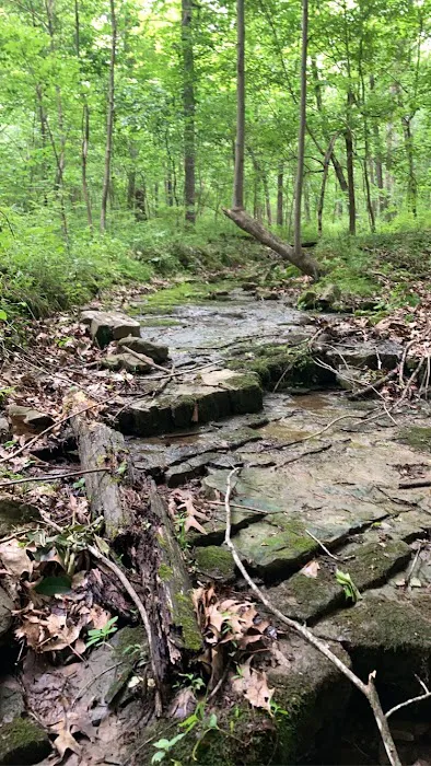 Lake Glendale Picture 9