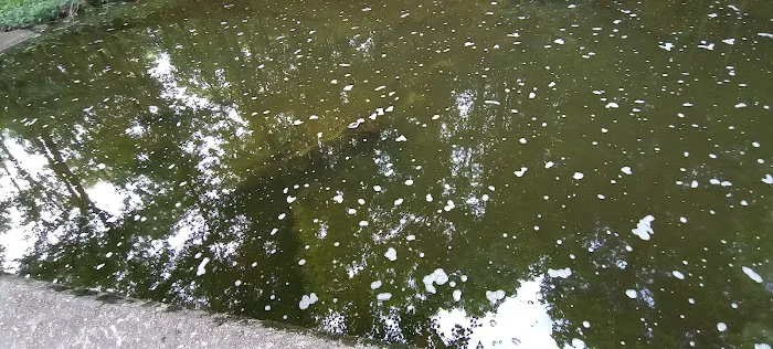 Lake Glendale Picture 4