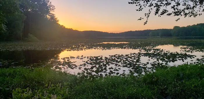 Lake Glendale Picture 1