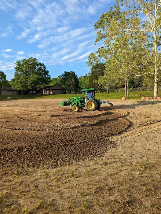 Lake Glendale Picture 2