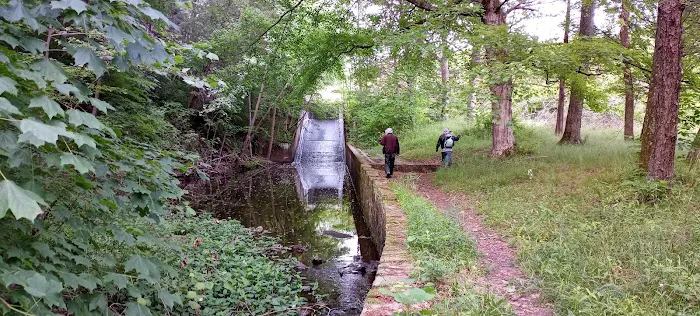 Lake Glendale Picture 10