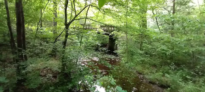 Lake Glendale Picture 5