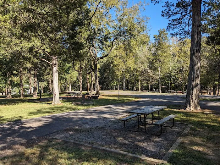 Dixon Springs State Park Campground Picture 7