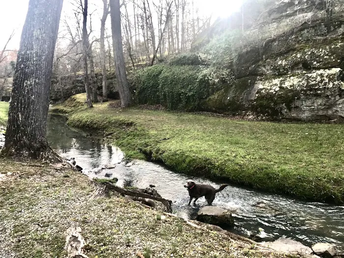 Dixon Springs State Park Campground Picture 3
