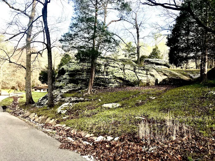 Dixon Springs State Park Campground Picture 5