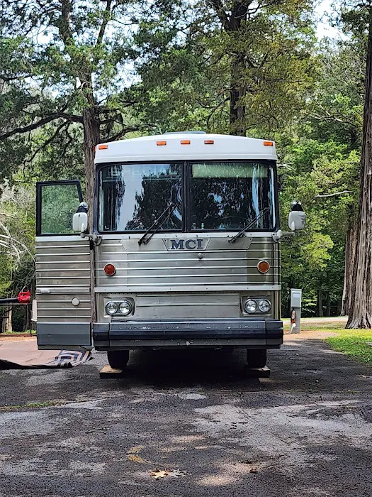 Dixon Springs State Park Campground Picture 9