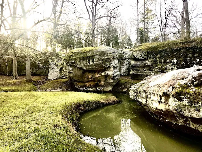 Dixon Springs State Park Campground Picture 6