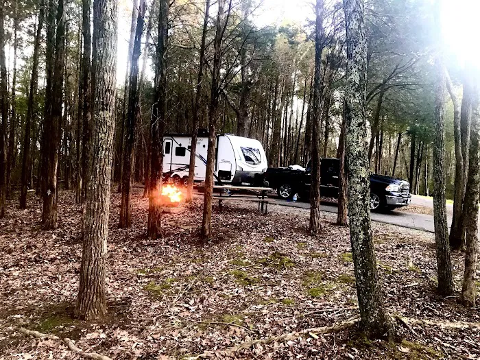 Dixon Springs State Park Campground Picture 4