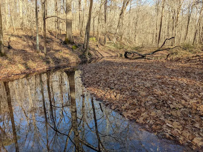 Lake Glendale Recreation Area Picture 10
