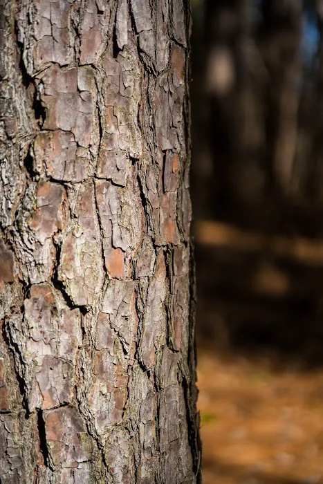 Lake Glendale Recreation Area Picture 4