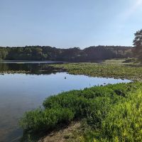 Lake Glendale Recreation Area ico