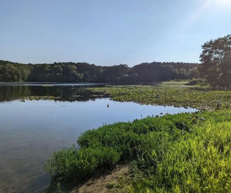 Lake Glendale Recreation Area