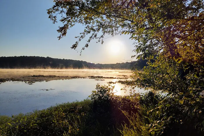 Oak Point Campground Picture 4